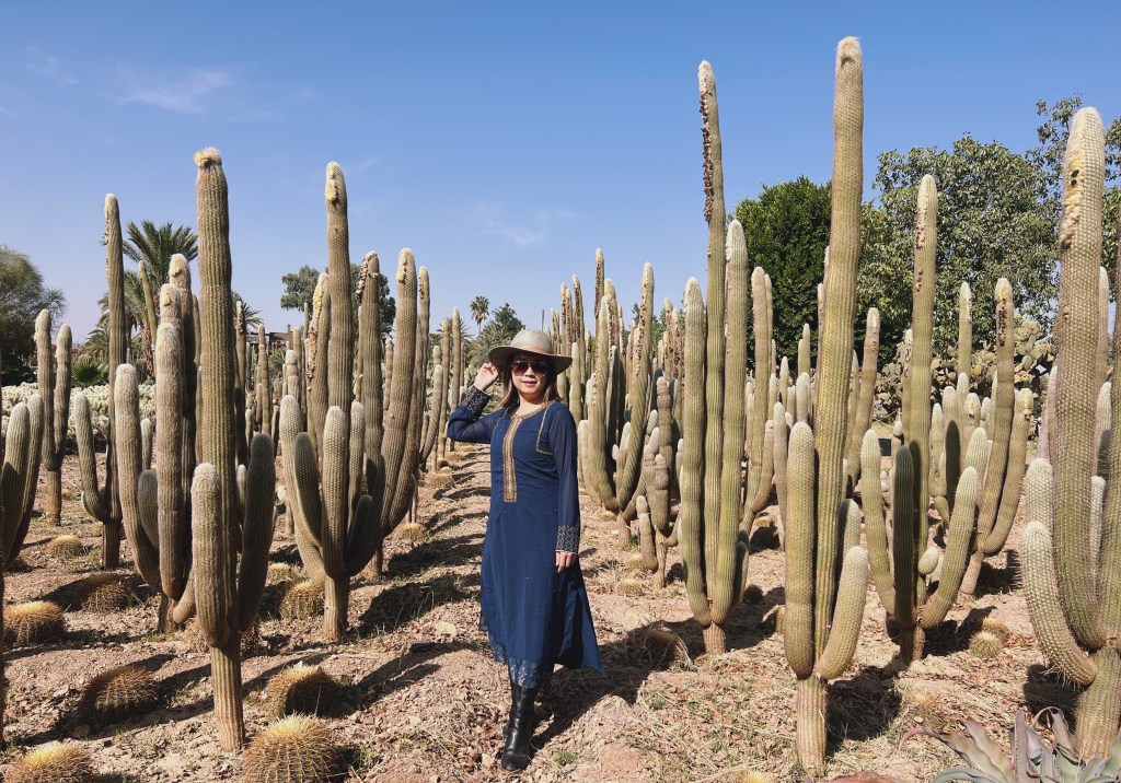 Cactus Thiemann - the Best Place in Marrakech for Cacti Lovers - Aisha in  Morocco